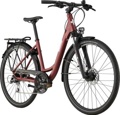 BIXS CAMPUS 3 DI BERRY dark berry S Produktbild 1