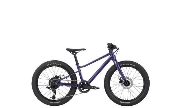 SCOR 0020 Purple Metallic 20"