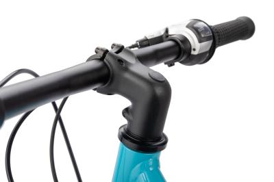 NALOO Chameleon 16", Mk2.1, SingleSpeed, Purple Produktbild 2